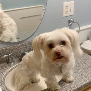 Meet your Posher, Kerri